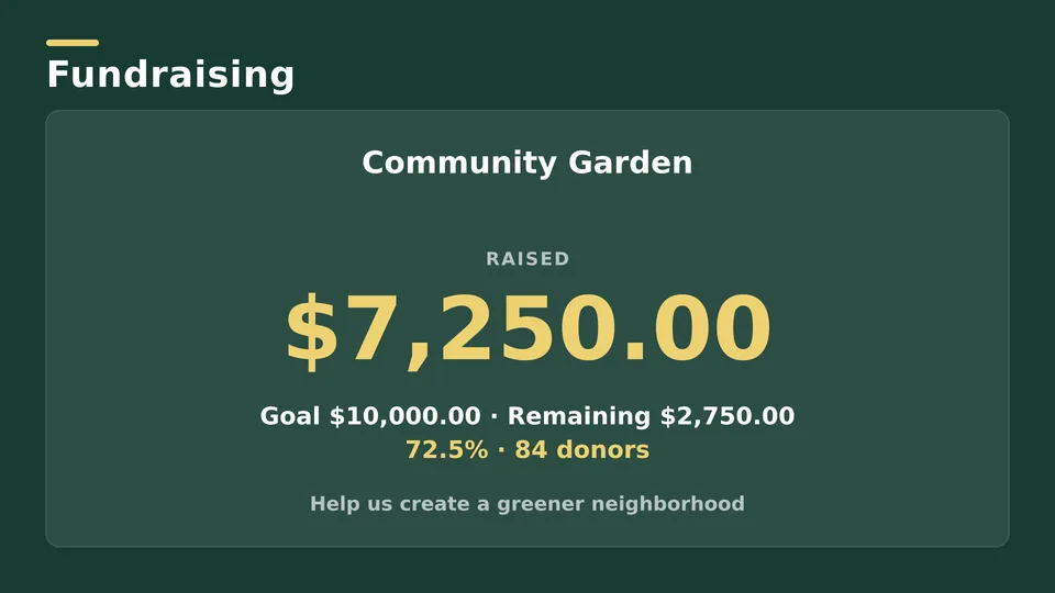 Fundraising Live Page