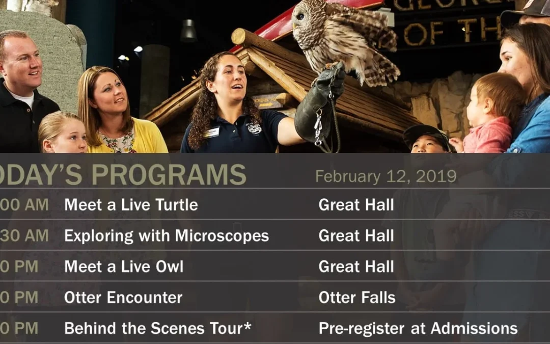 Beyond Static Screens: How Real-Time Content Elevates Your Digital Signage Strategy