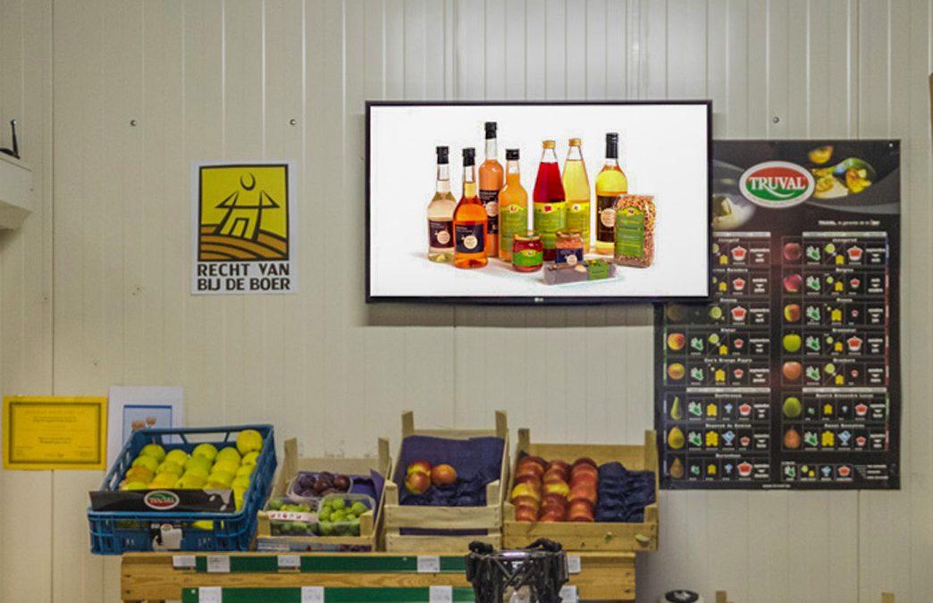 Elevate Your Digital Signage Game with PowerPoint and SignageTube