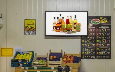 Elevate Your Digital Signage Game with PowerPoint and SignageTube